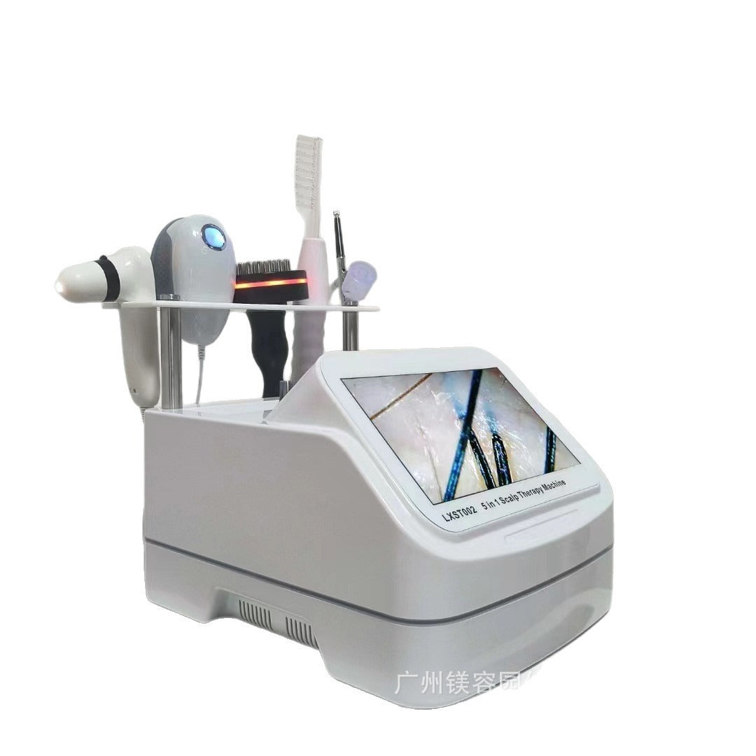 A Newest Professional Hair Scalp Care Machine Nanometer Spray Hair Therapy Machines Anti-hair Loss Scalp Massager